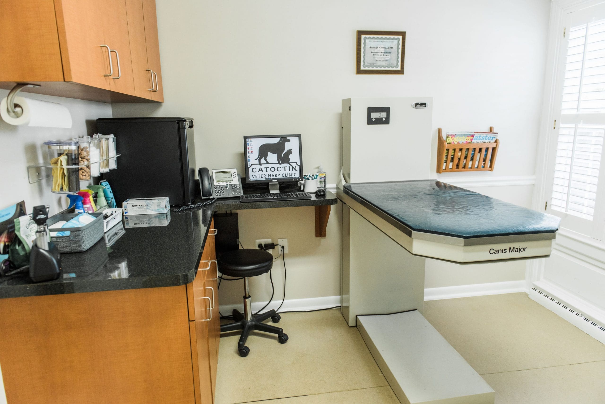 catoctinvetclinic