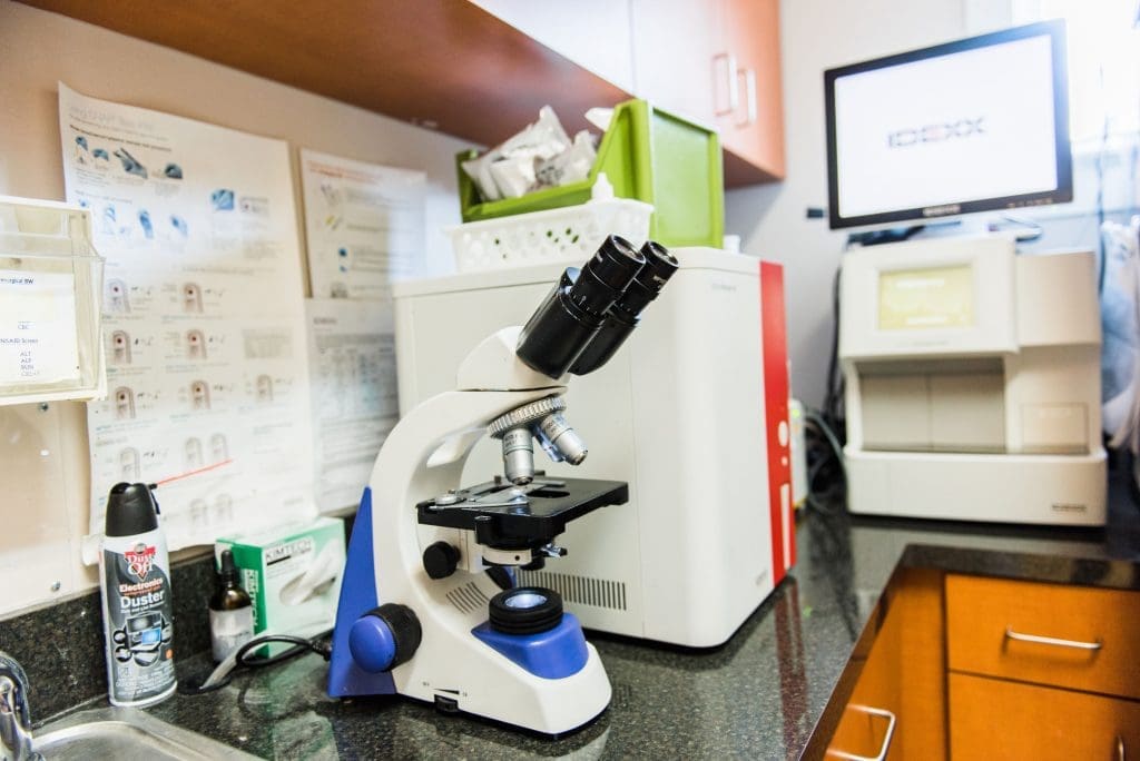 a microscope in a veterinary lab