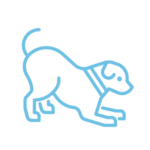 dog icon