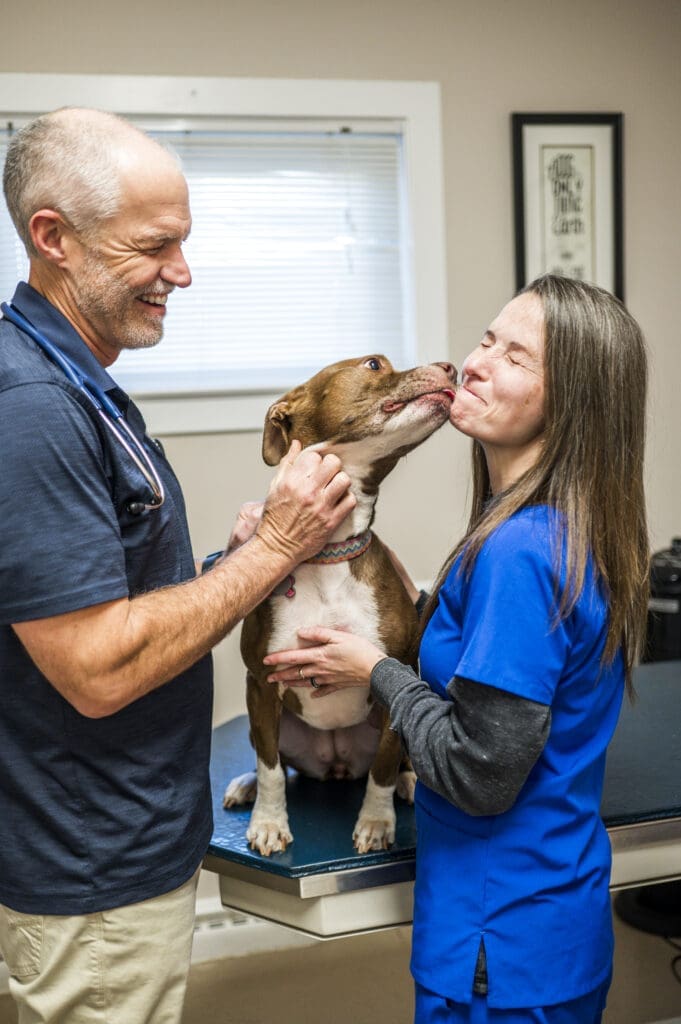 a dog licking a vet's face