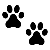 paw prints icon